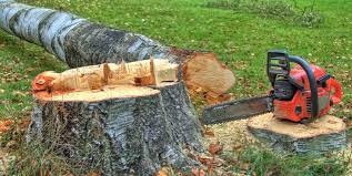 Best Leaf Removal  in Durham, OR
