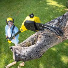 Best Organic Lawn Care Solutions  in Durham, OR